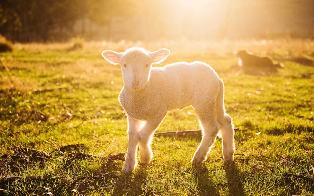 Easter things to do in East Sussex and Kent