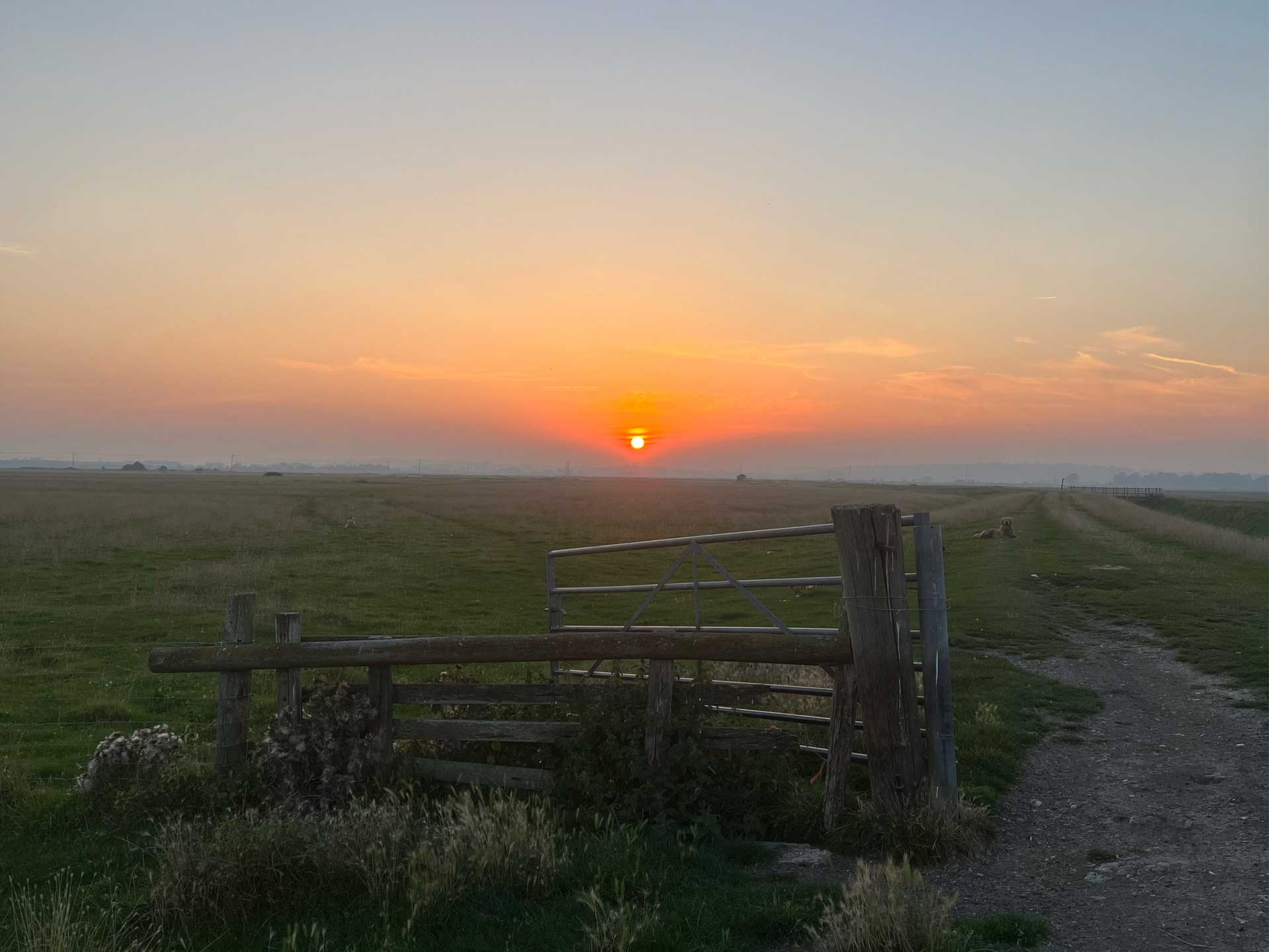 Long dog walks around Camber and Rye and Winchelsea
