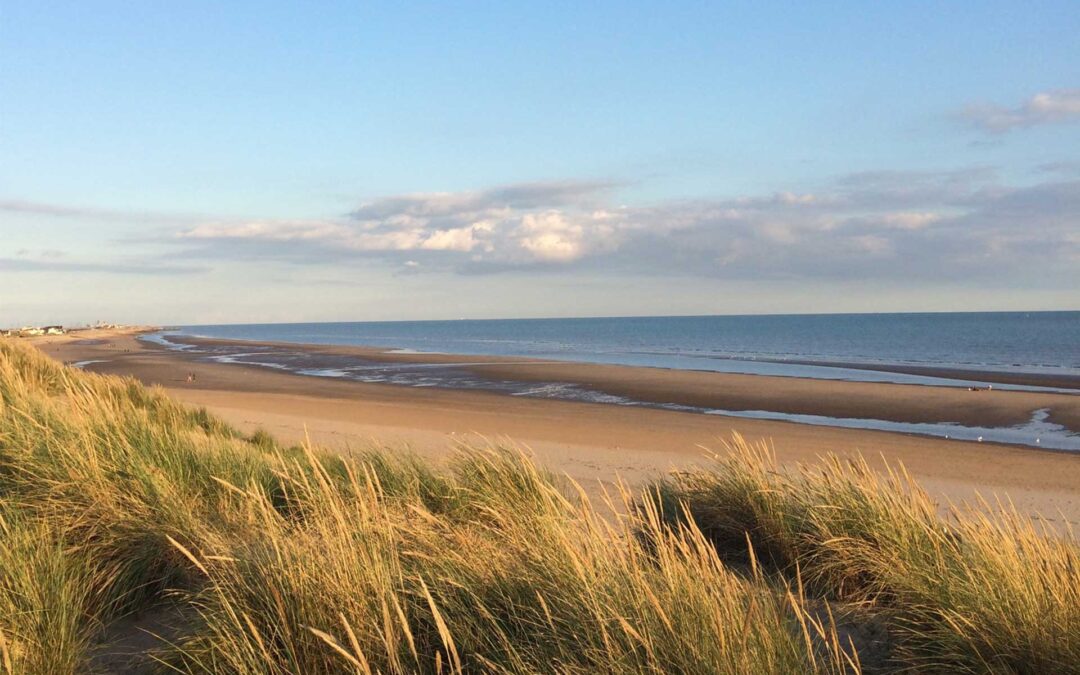 Where to go for health & wellness