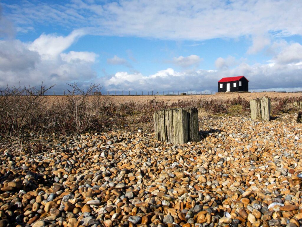 Take the whole family to Rye Harbour Nature Reserve