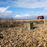 Take the whole family to Rye Harbour Nature Reserve