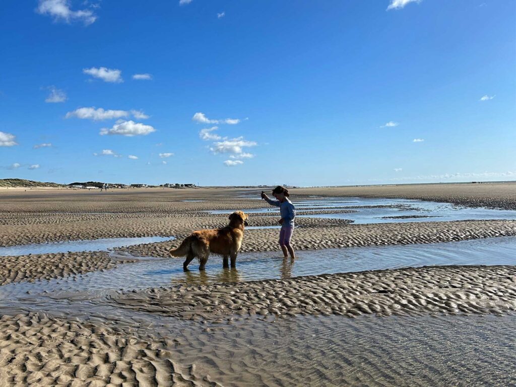 The sands of Camber are super dog and family friendly