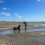 The sands of Camber are super dog and family friendly