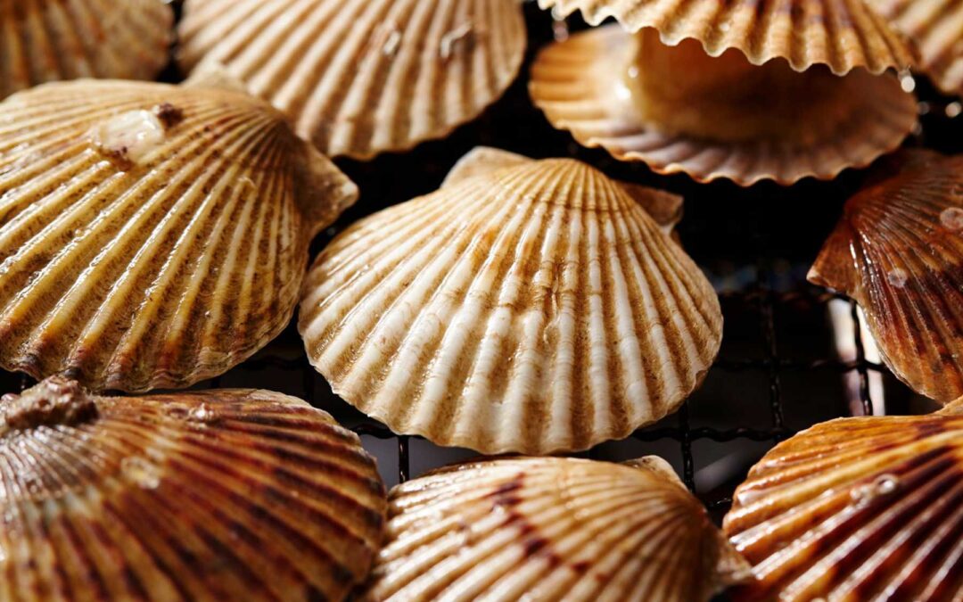 Mouth-watering local produce in Camber, Winchelsea, and Dungeness