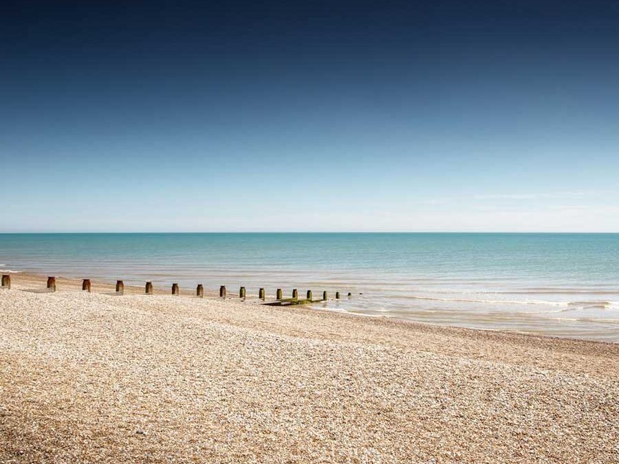 Spring Newsletter 2024