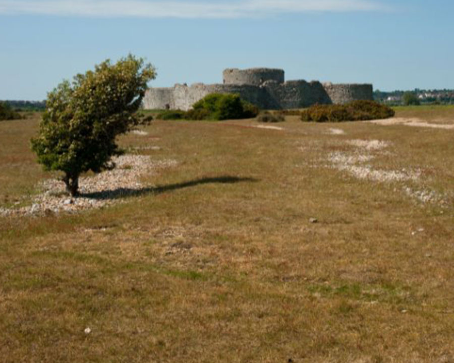 Explore the ruins of Camber Castle