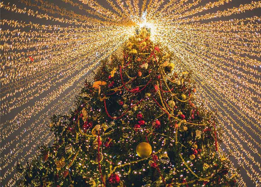 Cosy coastal Christmas in Camber