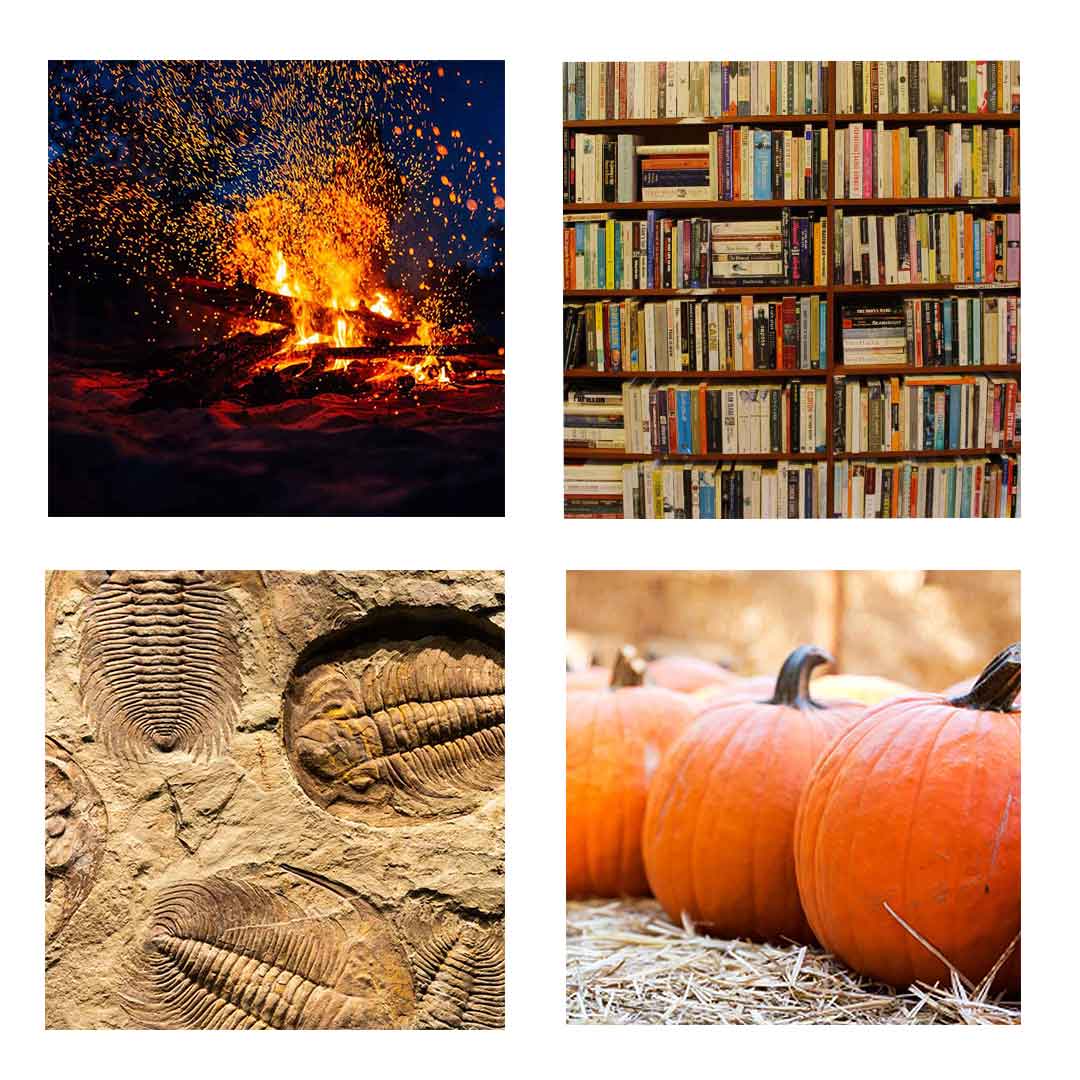 There's a riveting roster of events for autumn in Camber