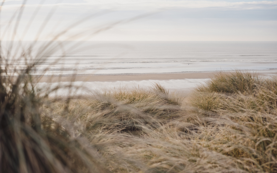 Local walks in and around Camber