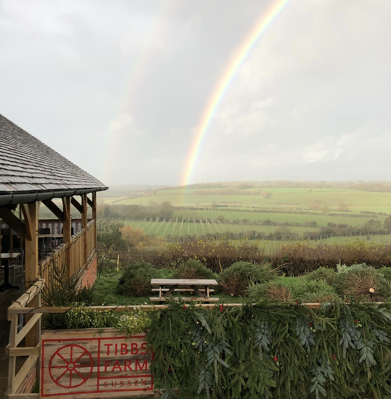 The local walks and terrains at Rye Harbour Nature Reserve will take you across different eco habitats