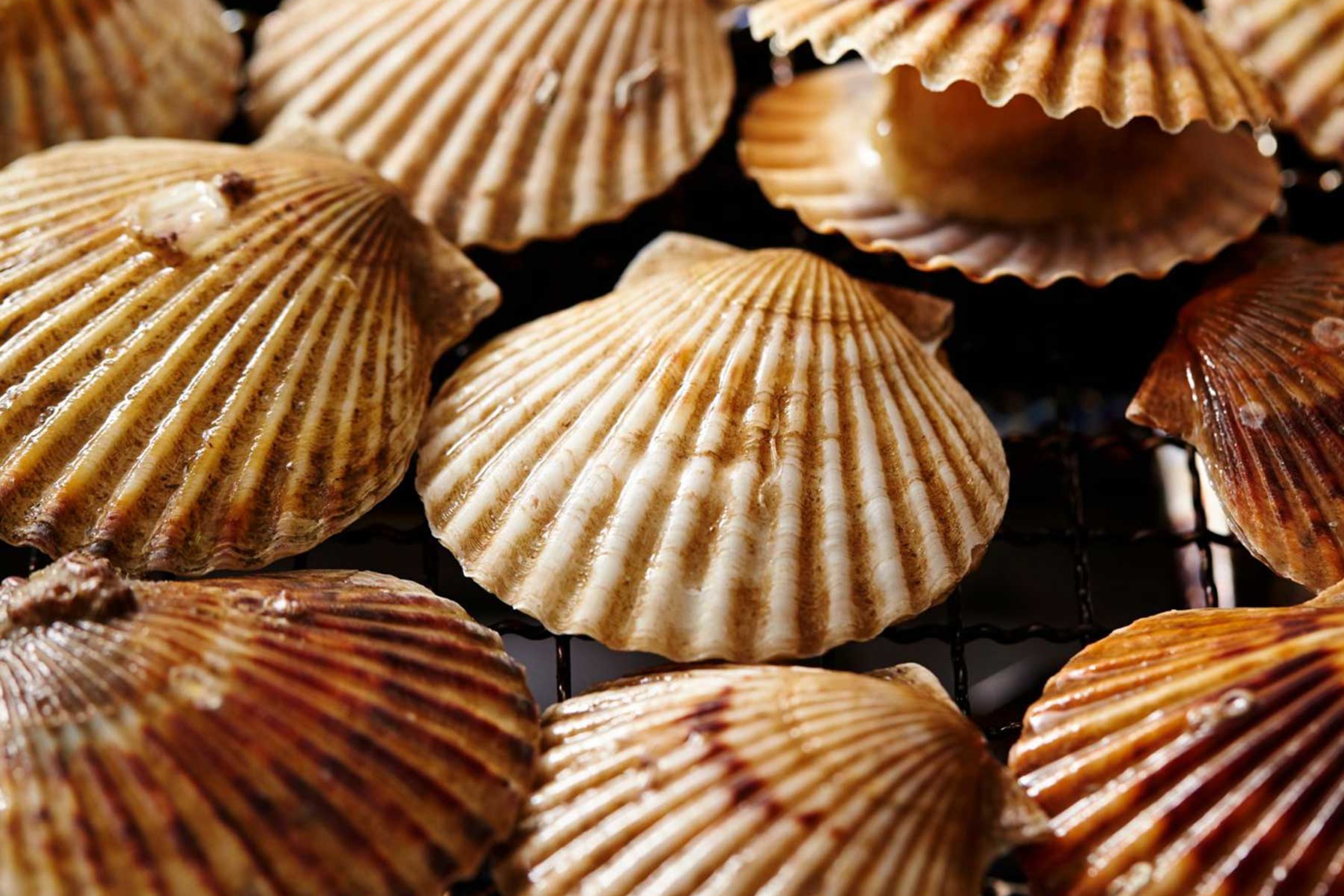 Camber, Rye and Dungeness are known for their fresh fish and seafood