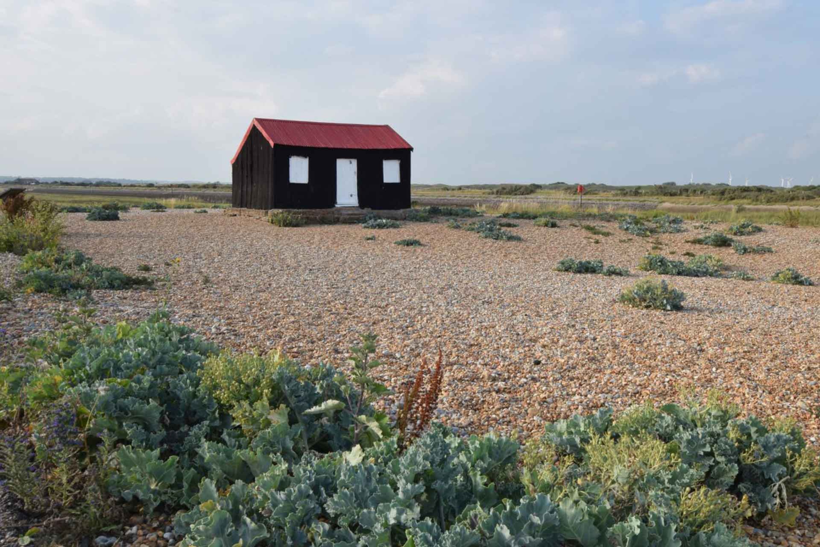The local walks and terrains at Rye Harbour Nature Reserve will take you across different eco habitats